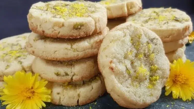 Freshly baked dandelion cookies on a rustic plate