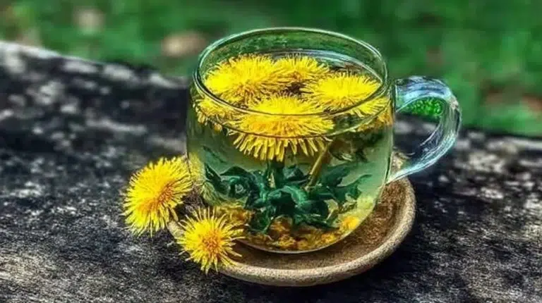 A steaming cup of dandelion tea surrounded by fresh dandelion flowers.